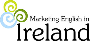MEI Logo - Berlitz Dublin